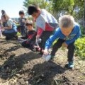 Battery Urban Farm: A Real Working Farm in Downtown Manhattan with Pick-Your-Own Veggies & Educational Programs for Kids