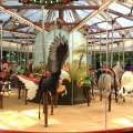 Family Daycation at the Staten Island Zoo: A Brand-new Carousel, a Petting Zoo & Great Educational Programs for Kids