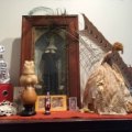 Morbid Anatomy Museum: Kids Can Check Out Taxidermy, Skulls & Weird Artifacts at Brooklyn's Newest Museum
