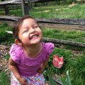 Queens County Farm Museum: Feed the Animals and See How Food is Grown at NYC's Only Historic Working Farm