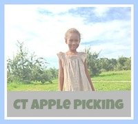 Apple Picking in Connecticut Guide