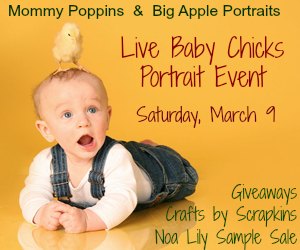 Live Baby Chicks Portrait Event