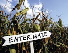 Corn Mazes with the Kids in Fairfield County, CT
