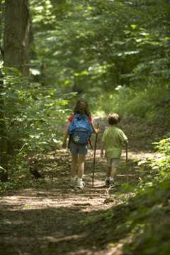 The Best Los Angeles Area Hiking Trails for Families