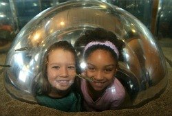 10 Spring Break Camps for Kids in LA
