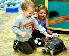 Best NYC Kids Birthday Parties: Blow Your Child's Mind With One of These Amazing Birthday Party Ideas