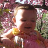 Hanami Photo Contest Slideshow and Winner
