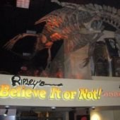 New Extreme Sleepovers at Ripley's Believe it or Not! Odditorium Museum