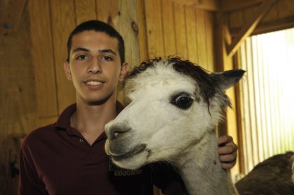 Summer Internships for Teens in New York City