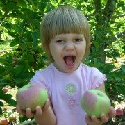 Apple Picking Farms in New Jersey and New York: Where to Pick Your Own Apples Near NYC