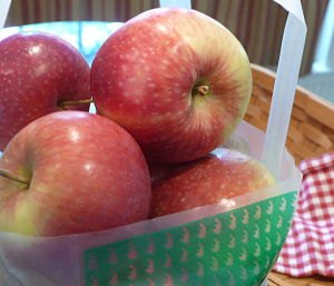 Apple Recipes for Kids and Families - Making the Most of Apple Picking Adventures