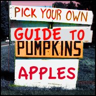 Pick Your Own Guide: Where to Pick Your Own Fruits and Vegetables in New York, New Jersey, Long Island and Connecticut