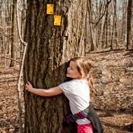 One Great Day in NJ: Campgaw Mountain Reservation