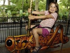 NYC Carousels: Get Merry and Go Around