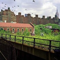 Chelsea with Kids: 50 Things to Do for NYC Families