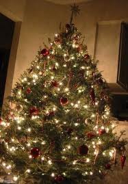 More Christmas Tree Farms in Hartford County, CT