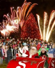 Christmas Tree Lightings on Long Island