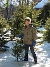 Cut Your Own Christmas Tree Farms in Connecticut (Litchfield County)