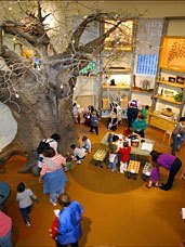 5 Best Indoor Activities for NYC Kids