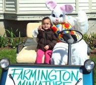 Easter Egg Hunts in Central CT
