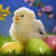 Easter Weekend Fun for NJ Kids