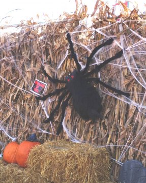 Haunted Hayrides and Creepy Corn Mazes on Long Island