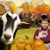 Pumpkin Picking, Corn Mazes and Hayrides in New Jersey