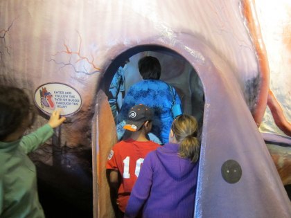 Science and Natural History Museum Day Trips