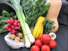 Joining a NYC Food Coop: Shopping Locally and Investing in Your Community