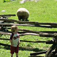 Memorial Day Weekend Getaways: 5 Fun Day Trips for NYC Families