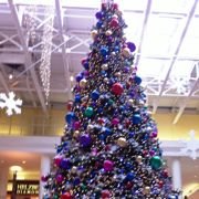 Mostly Free & Fun Things To Do With NJ Kids This Weekend Dec 1-2: Scrooge! The Musical, Brunch with Santa, Dog Sled Demo & More!