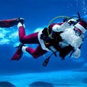 Mostly Free & Fun Things To Do With NJ Kids This Weekend Dec 22-23: Scuba Santa, Country Christmas, Holiday Sing & More!