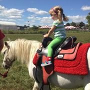 Mostly Free & Fun Things To Do With NJ Kids This Weekend May 4-5: Scavenger Hunt, Pony Rides, Dino Day & More!
