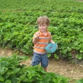 New Jersey's Best Summer Pick-Your-Own Farms