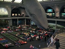 Night at the Museum: 7 Museum Sleepovers in New York City