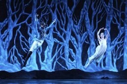 Nutcracker Ballet Holiday Shows in Connecticut