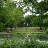Country Day Camps Right in the City