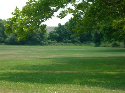 7 Perfect Picnic Places on Long Island