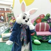Photos with the Easter Bunny in NJ