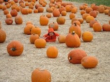 Pumpkins, Hay Rides and Fall Fun in Fairfield County