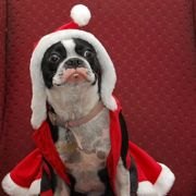 Quirky Christmas: Some NJ Holiday Events You May Not Have Heard Of
