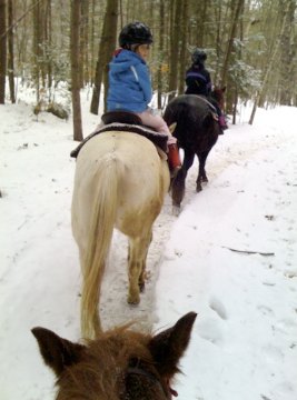 All-Inclusive Winter Family Resorts: Ridin-Hy Ranch