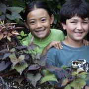 Farm-to-table: Hands-on Planting and Harvesting Summer Camps for NYC Kids