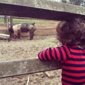 Step Back in Time at NJ's Living History Farms
