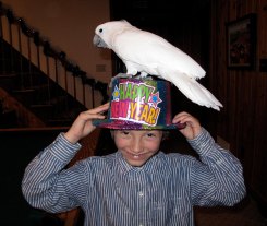 Things To Do New Year's Eve with Kids in LA and OC