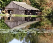 Things To Do With Kids in New London County, CT