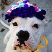 Things To Do With NJ Kids This Weekend March 31-April 1: Bunny Hop, Poopendous! Book Signing, Kids Jazz Concert & more!