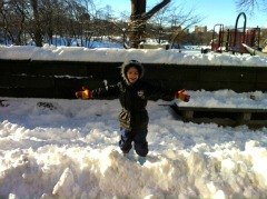 This Week: Awesome Presidents' Day Weekend Events and Day Trips, Best Annual Parades for NYC Kids, Sahara Sam's Giveaway