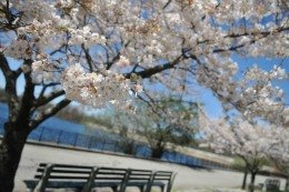 This Week: Free Spring Festivals, Best New Theater Shows for NYC Kids, Tribeca Film Festival for Families