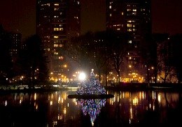 This Week: Huge Holiday Giveaway, Amazing Holiday Light Displays, Local Gift Shopping